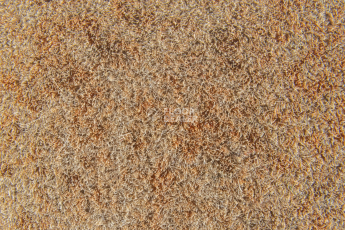 Forbo Flotex Colour Calgary 50*50 t 590013 Calgary Caramel фото 2 | FLOORDEALER