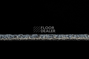 IVC Flare 559 фото 6 | FLOORDEALER