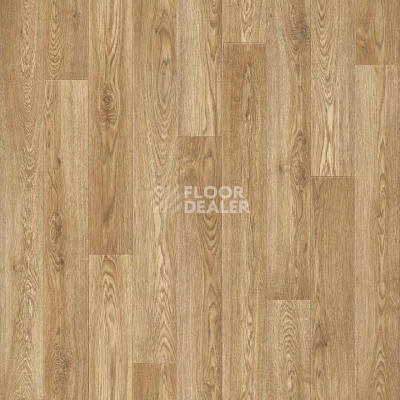 Линолеум Tarkett Sprint Pro Baden 1 фото 1 | FLOORDEALER