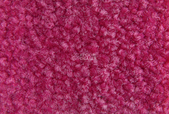 Balsan Bolero 555 фото 2 | FLOORDEALER
