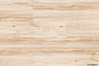 Wood MAPLE фото 4 | FLOORDEALER