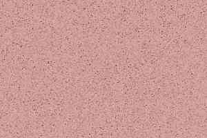 Линолеум Tarkett Primo Plus 307 фото  | FLOORDEALER
