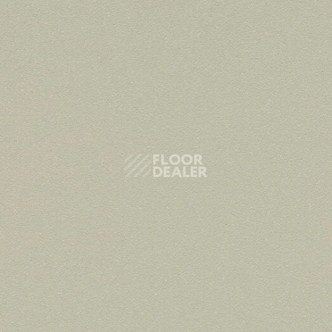 Линолеум Forbo SureStep Laguna 181472 white moss фото 1 | FLOORDEALER