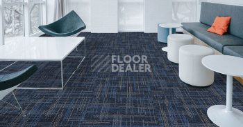 Standard Carpets Casini Casini 556 фото 2 | FLOORDEALER