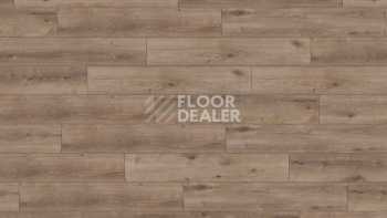 Ламинат Kronotex Exquisit Plus d6020 Дуб Кашмир Титан фото 1 | FLOORDEALER