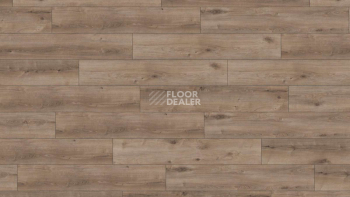 Ламинат Kronotex Exquisit Plus d6020 Дуб Кашмир Титан фото 1 | FLOORDEALER