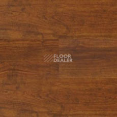 Линолеум Polyflor Expona Wood 6114 фото 1 | FLOORDEALER