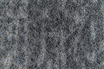 Forbo Flotex Colour Canyon 50*50 t545022 Canyon Limestone фото 4 | FLOORDEALER