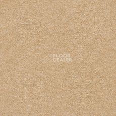 Ковролин Lano Godiva 381 фото 1 | FLOORDEALER