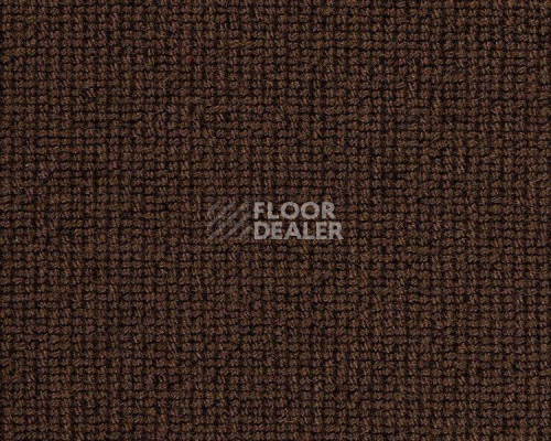 Ковролин Best Wool Hospitality 1 h 1450 - e 70001 фото 1 | FLOORDEALER
