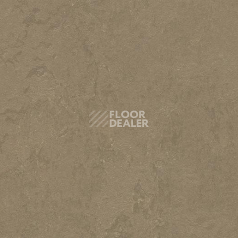 Линолеум Forbo Marmoleum Decibel 370935 silt фото 1 | FLOORDEALER