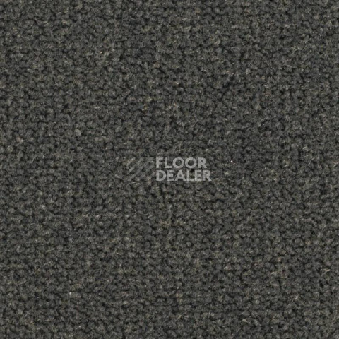 Ковролин Balsan Les Best S 990 фото 1 | FLOORDEALER