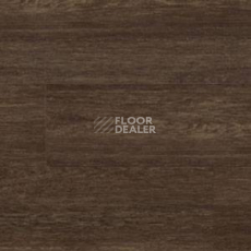 Линолеум Polyflor Expona Wood 6178 фото 1 | FLOORDEALER