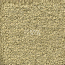 Ковролин Emphatic Beaulieu of America 56370 фото 1 | FLOORDEALER