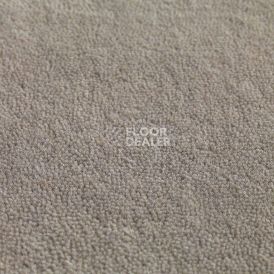 Ковролин Jacaranda Carpets Jaspur Titanium фото 1 | FLOORDEALER