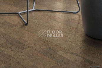 Cork Pro Fantasie March фото 2 | FLOORDEALER