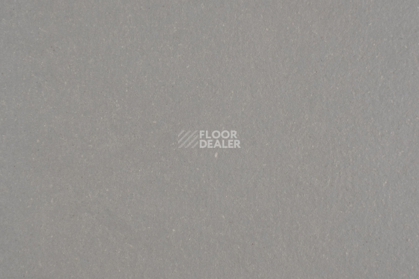 Линолеум Forbo Marmoleum Solid Walton 3367-336735 alloy фото 1 | FLOORDEALER