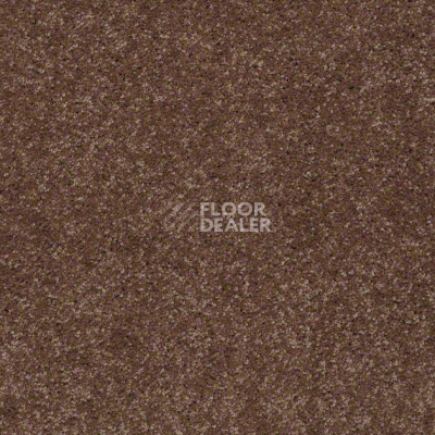 Ковролин Shaw Design Texture Platinum 794 фото 1 | FLOORDEALER