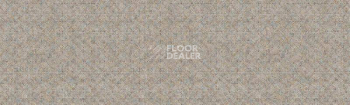 Линолеум Tarkett Delta SPRAY7 фото 1 | FLOORDEALER