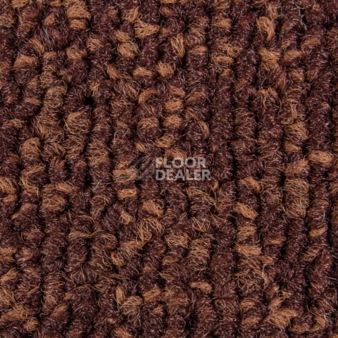 Balsan Season - Summer / Winter 585 фото 2 | FLOORDEALER