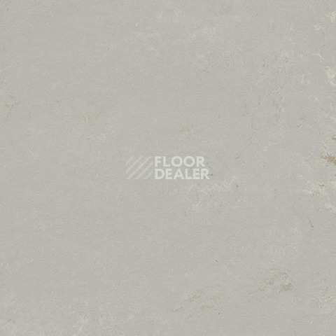 Кварцвиниловые полы Forbo Marmoleum Modular Shade 3717 фото 1 | FLOORDEALER