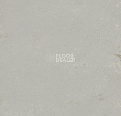 Кварцвиниловые полы Forbo Marmoleum Modular Shade 3717 фото 1 | FLOORDEALER