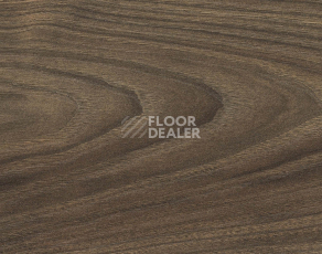 Ламинат Haro Tritty 200 Aqua 4V Акация Варио 544787 фото 1 | FLOORDEALER