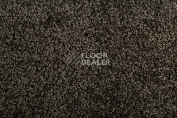 Haima Noble 67 фото 2 | FLOORDEALER