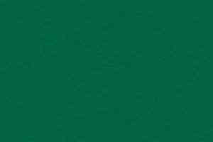 Линолеум Gerflor Taraflex Surface Uni 6557_Forest фото  | FLOORDEALER