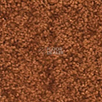 Ковролин Girloon Flair 760 фото 1 | FLOORDEALER