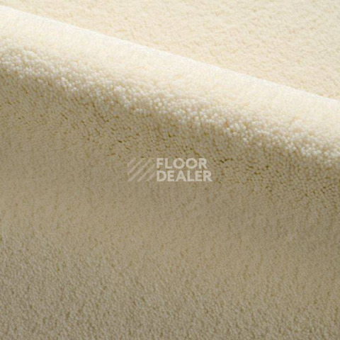 Ковролин Radici Dolce Vita 9811 фото 1 | FLOORDEALER