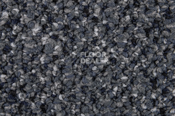 Desso Solid ac 73 9022 фото 3 | FLOORDEALER