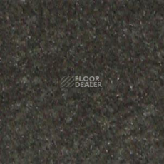 Ковролин Shaw all That Jazz 21314 фото 1 | FLOORDEALER