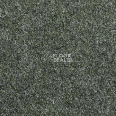 Ковролин Vebe Lindau 20 фото 1 | FLOORDEALER