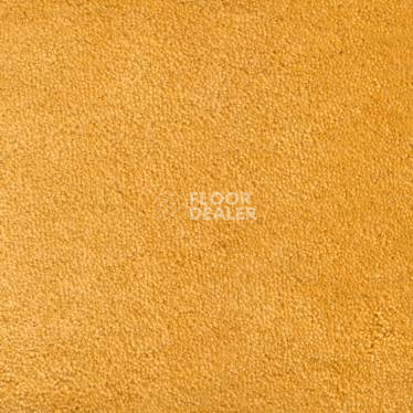 Ковролин Vorwerk Hermelin 2d08 фото 1 | FLOORDEALER