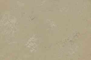 Кварцвиниловые полы Forbo Marmoleum Modular Shade 3720 фото  | FLOORDEALER