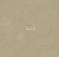 Кварцвиниловые полы Forbo Marmoleum Modular Shade 3720 фото 1 | FLOORDEALER