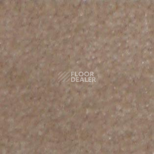 Ковролин Shaw all That Jazz 21156 фото 1 | FLOORDEALER