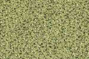 Ковролин Balsan Equinoxe 220 фото  | FLOORDEALER