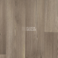Линолеум Tarkett Galaxy Dallas 3 фото 1 | FLOORDEALER