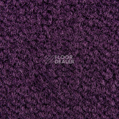Balsan Les Best S 899 фото 2 | FLOORDEALER