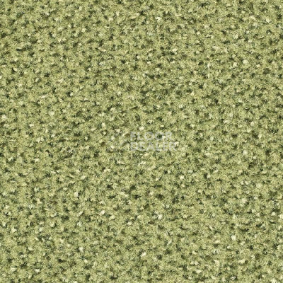 Ковролин Balsan Equinoxe 220 фото 1 | FLOORDEALER