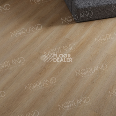 Norland Sigrid  LVT 2мм Eli 1003-6 фото 4 | FLOORDEALER