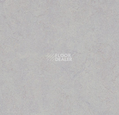Линолеум Forbo Marmoleum Decibel 388335 moonstone фото 1 | FLOORDEALER