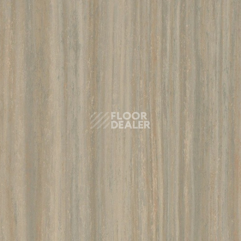 Линолеум Forbo Marmoleum Striato Textura 5253 bleached gold фото 1 | FLOORDEALER