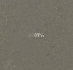 Линолеум Forbo Marmoleum Decibel 372335 nebula фото 1 | FLOORDEALER