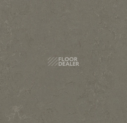 Линолеум Forbo Marmoleum Decibel 372335 nebula фото 1 | FLOORDEALER