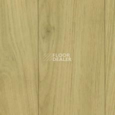 Линолеум Grabo Silver Knight Acoustic 7 2561_371_651 фото 1 | FLOORDEALER