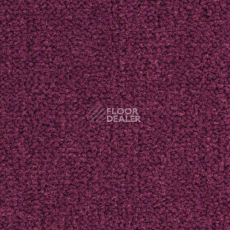 Ковролин Balsan Les Best S 599 фото 1 | FLOORDEALER