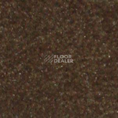 Ковролин Shaw all That Jazz 21324 фото 1 | FLOORDEALER